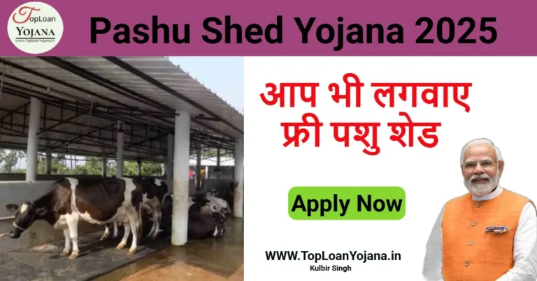 Pashu Shed Yojana 2025